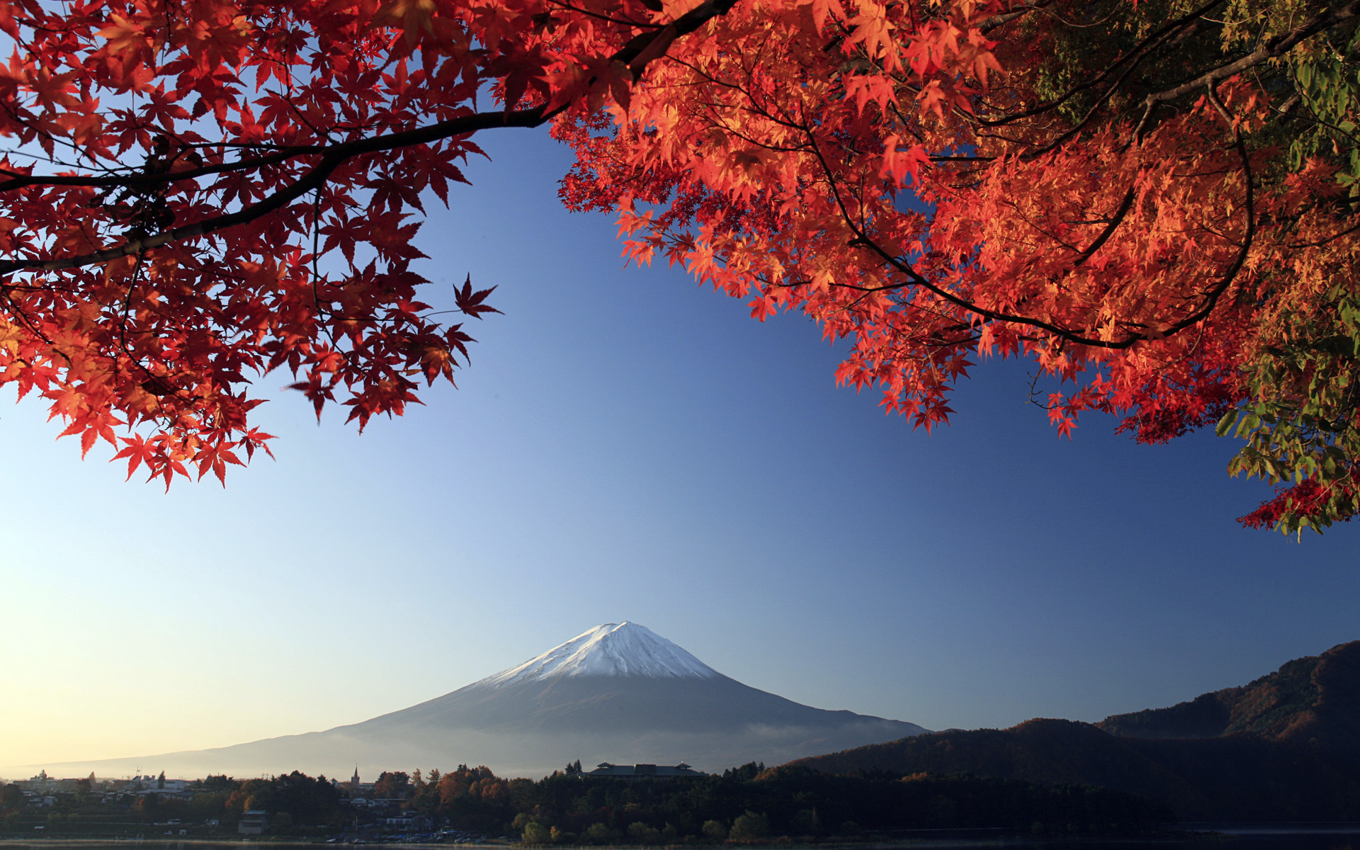 Mount Fuji Autumn Maple Japan1639212022